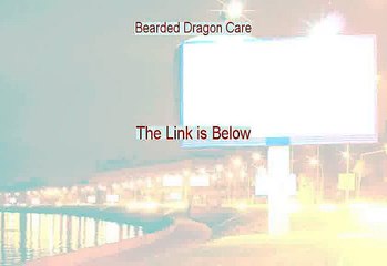Bearded Dragon Care PDF Download [Instant Download]
