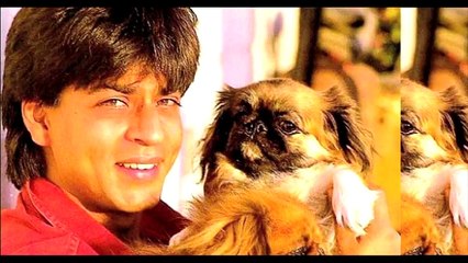 Shah Rukh Khan’s Beloved Passed Away 2015