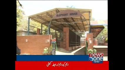 Elephants Madhubala and Malika Noor Jahan in Karachi zoo