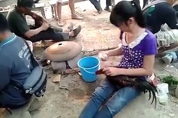 Girl Giving Bath to Hen Cock