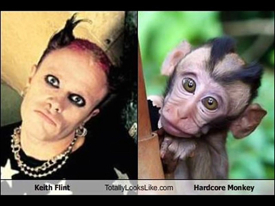 Funny Look Alikes