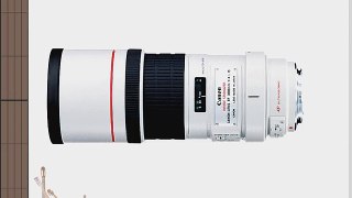 Canon EF 300mm f/4L IS USM Telephoto Lens for Canon SLR Cameras