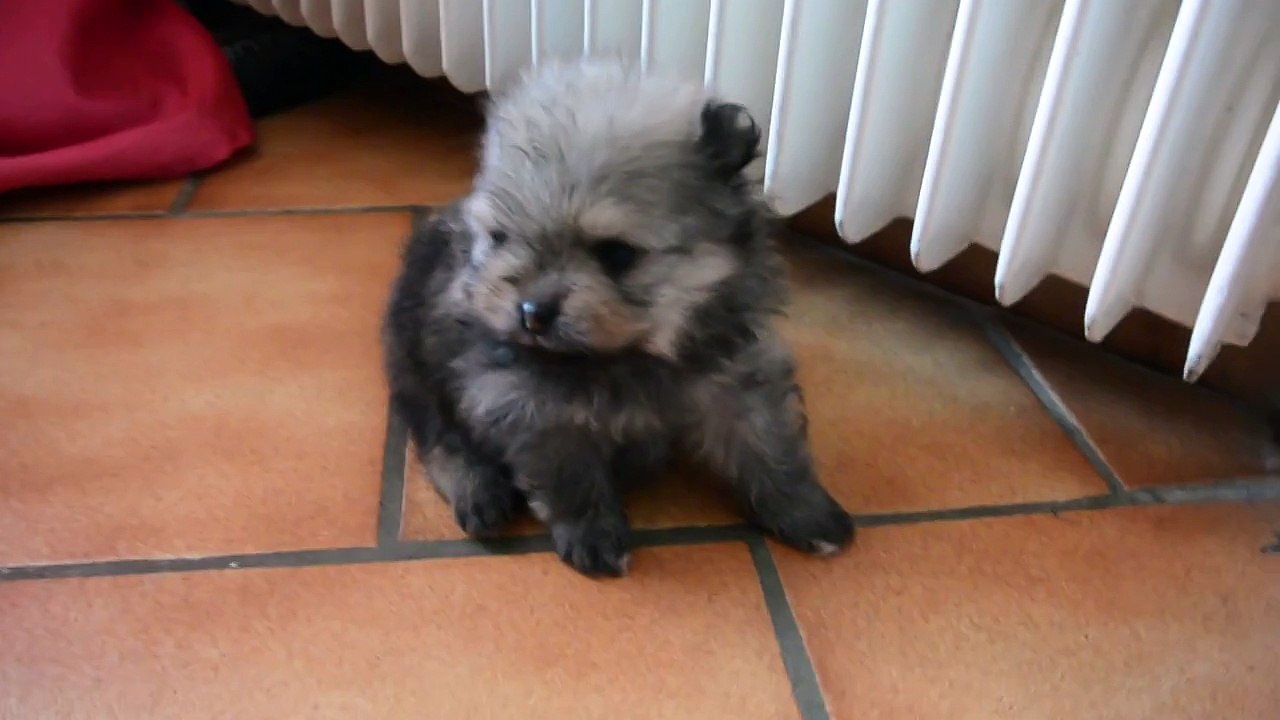 Lover Du Domaine des Bouilles d'Amour