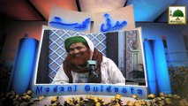 Madani Guldasta 324 - Madani Bahar Aur Husun e Zan - Maulana Ilyas Qadri