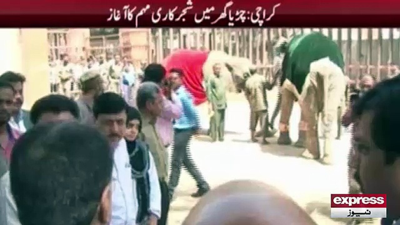 Report on Karachi Zoo