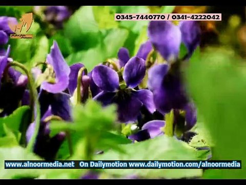 Allah ho Akbar Allah ho Akbar Album Syedi Murshadi Ya Nabi Ya Nabi Umair Zubair Qadri