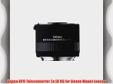 Sigma APO Teleconverter 2x EX DG for Canon Mount Lenses