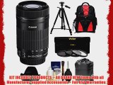 Canon EF-S 55-250mm f/4.0-5.6 IS STM Zoom Lens with 3 UV/CPL/ND8 Filters   Hood   Backpack