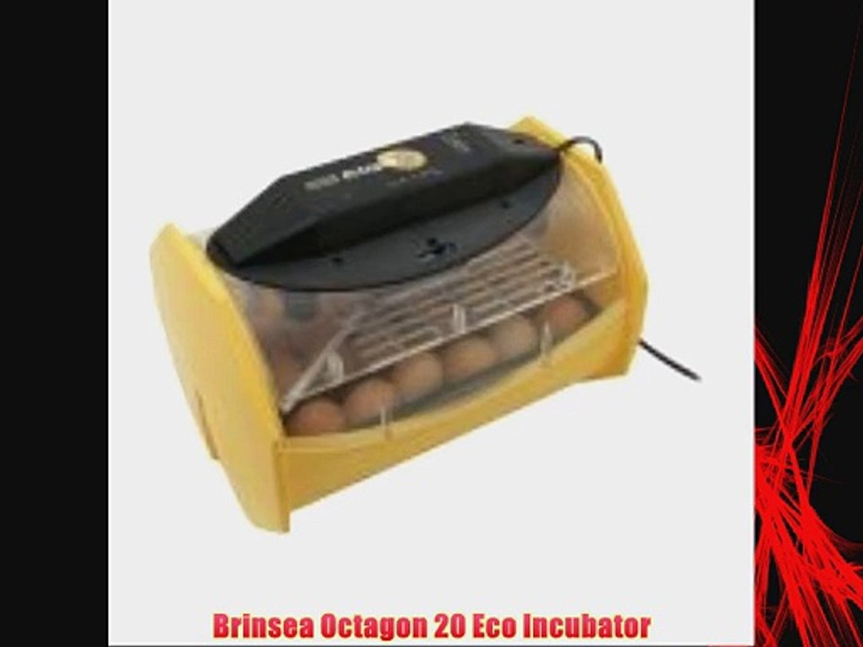 Brinsea Octagon 20 Eco Incubator