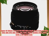 Sigma 18-50mm f/3.5-5.6 DC HSM Wide Angle Zoom Lens for Nikon D90 D80 D70 D60 D50 D40 D40X