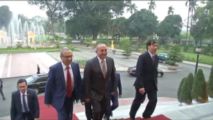 Mevlüt Çavuşoğlu - Truong Tan Sang Görüşmesi