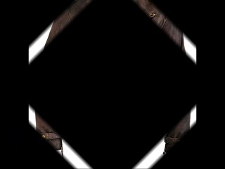 Kendal Designer Leather Jacket