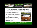 Hot Tub Dealer Minneapolis, MN Swim Spas, Hot Tubs Sale - 763-450-5310