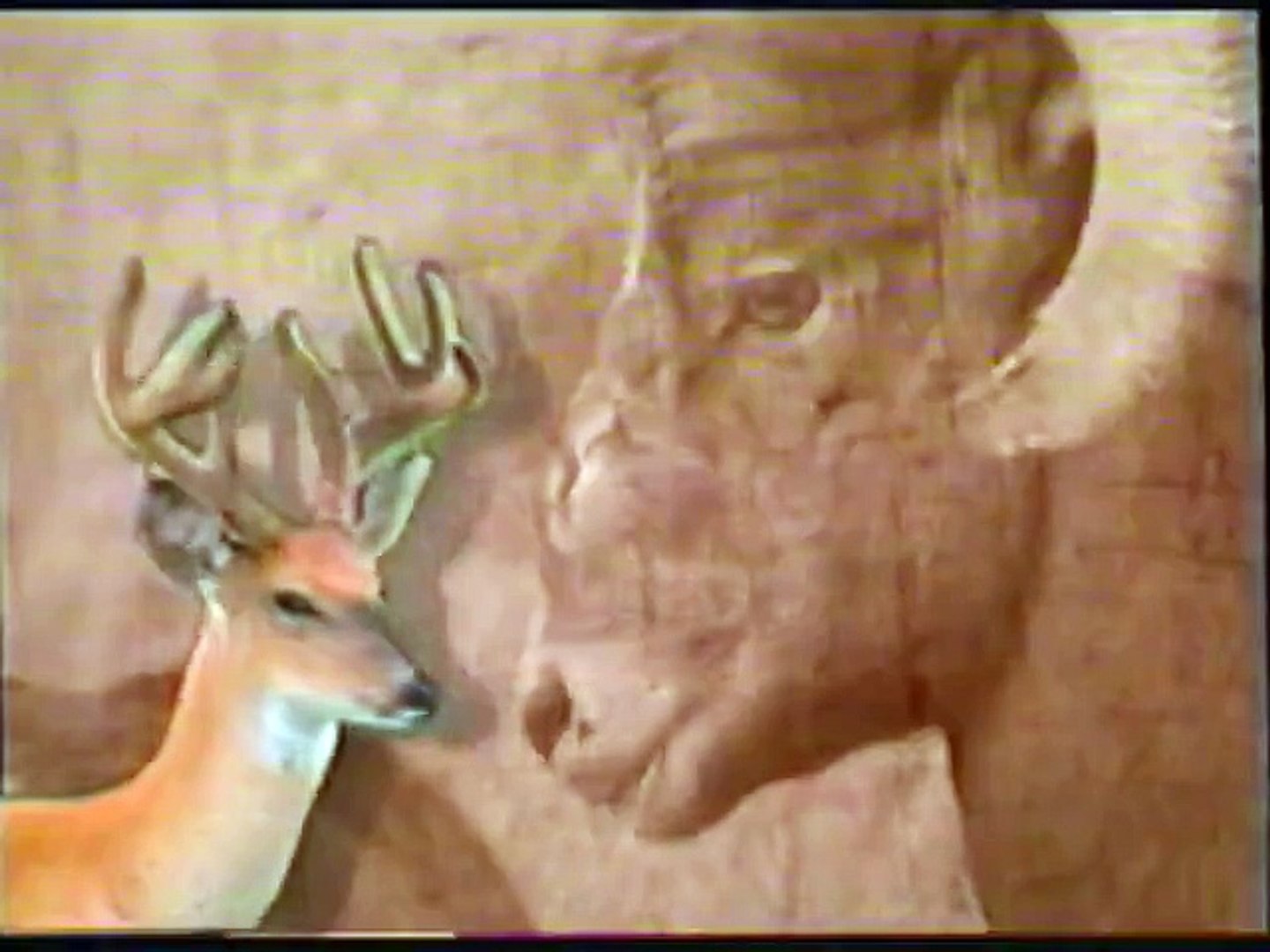 Experience the Wild Intro (1995-2000)