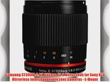 Samyang SY300M-E-BK 300mm F6.3 Mirror Lens for Sony NEX Mirrorless Interchangeable Lens Cameras