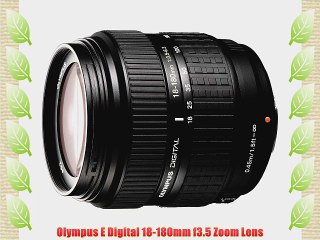 Olympus E Digital 18-180mm f3.5 Zoom Lens