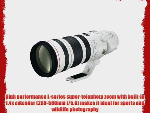 Canon EF 200-400mm f/4L IS USM Extender 1.4x