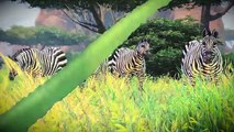 PS4 - Cabela's African Adventures Trailer