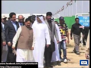 Dunya News - UAE gifts 600 swords and 300 Chinkara deers to Pakistan