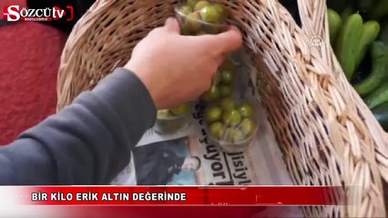Bir kilo erik altın değerinde