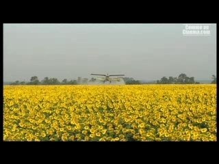 Notre Pain Quotidien Bande annonce Film