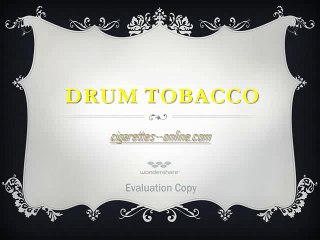 Drum Traveller Tobacco 50 grams (5 packs)