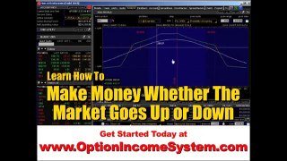 option income system review