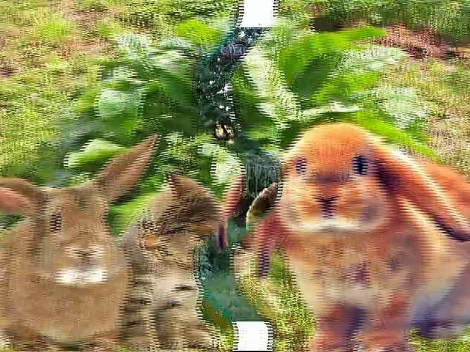 życzenia na Wielkanoc dla Pauliny i Wiki