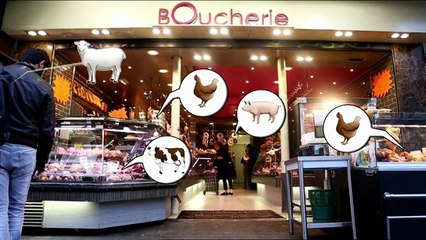 "Envoyé spécial" : la vie sans animaux