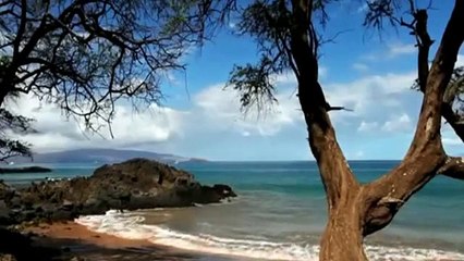 recebim sen seversin eller alır