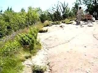 Les 3 lacs dans les Vosges