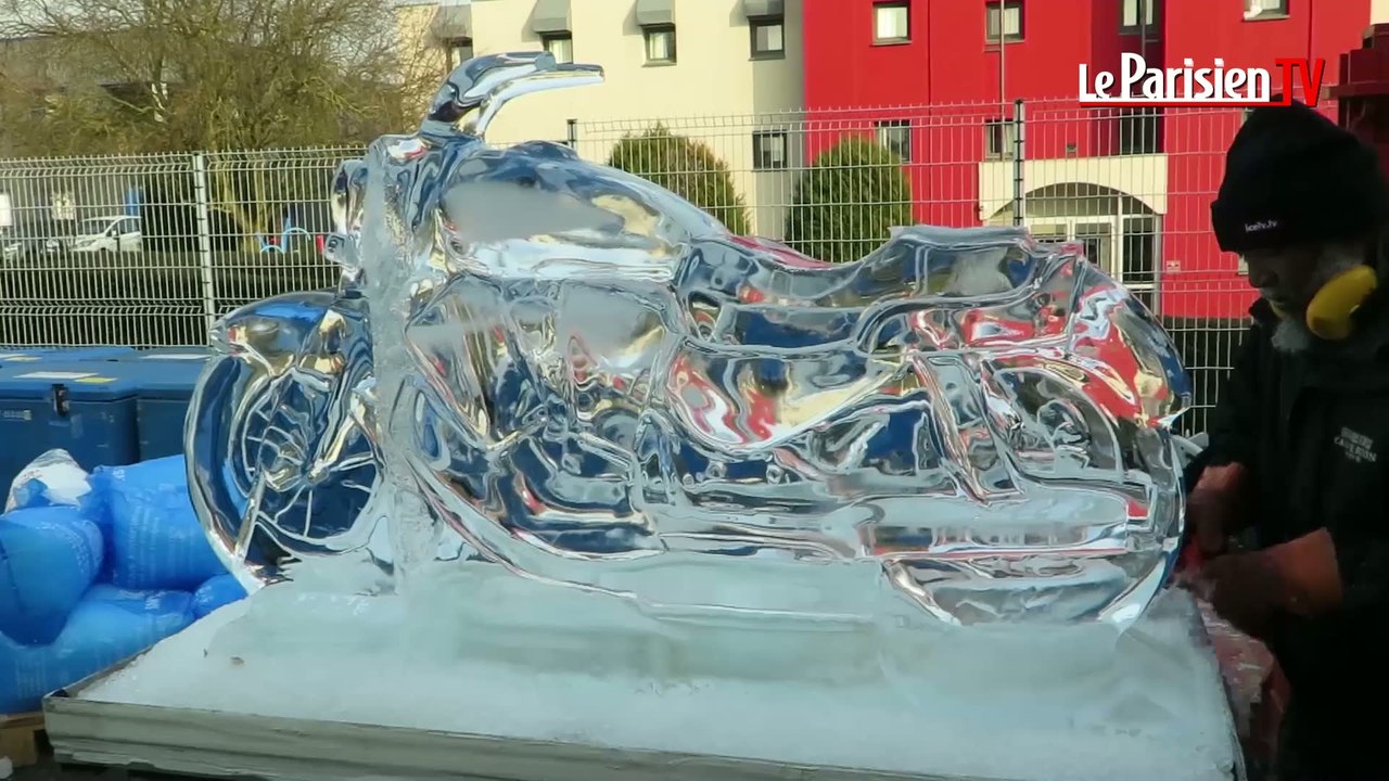 Euro-glaçon : l'entreprise qui fige vos désirs dans la glace