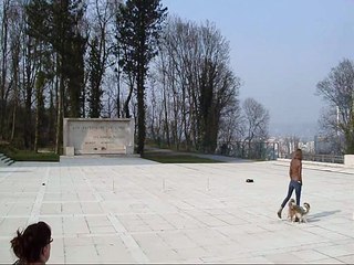 Maori - 1 an, 6 mois (et demi) - Répétition