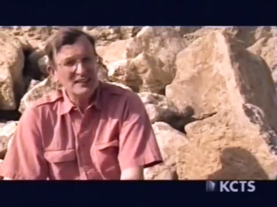 THE MISSING LINK - NOVA - Discovery History Science Animals (full documentary)