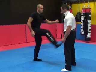 self defense krav maga par karim clemenceau