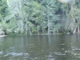 Un aigle attrape le poisson d'un pêcheur et part avec la ligne