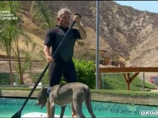 السلسلة الوثائقية سيزار للإنقاذ Cesar To The Rescue	 - ممزق