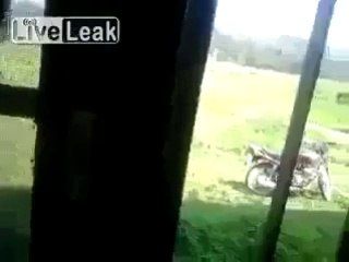 Very Funny Video I don't know why i laughed so much at this
