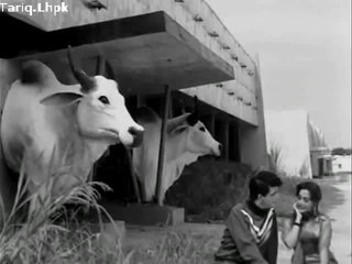 Muhabbat jisko kehte hain wo ek dhrkan purani hay