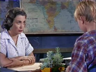 Smiley (part 2) - Adelaide Jerks