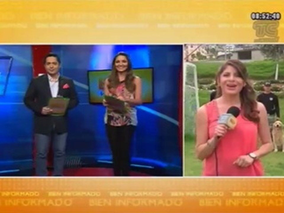 Bien Informado - Centro de adiestramiento canino