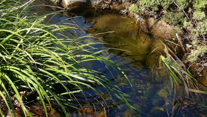 Memories while enjoying nature