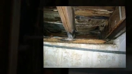 Denver Home Inspector Shows Home Inspection Horrors