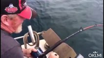 Un pêcheur se fait voler sa prise par un requin