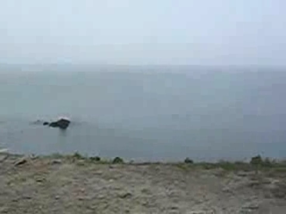 Entrainement commandos