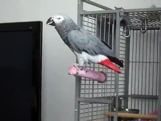 My name is BOND, James Bond!