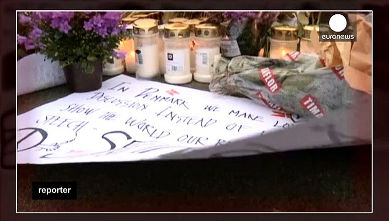 Skandinavische Karikaturisten: Der Preis für die Freiheit