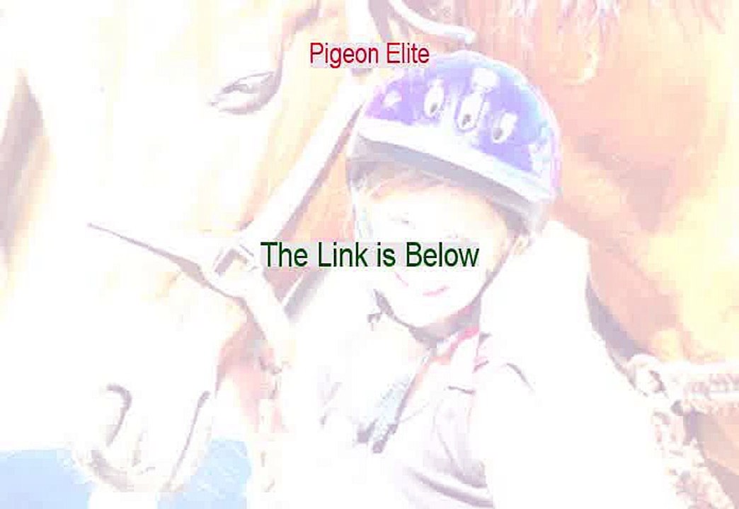 Pigeon Elite Download Free [pigeon elite wallon]