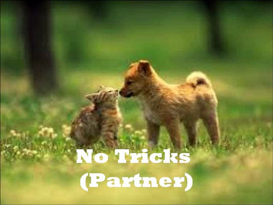 No Tricks (Partner)