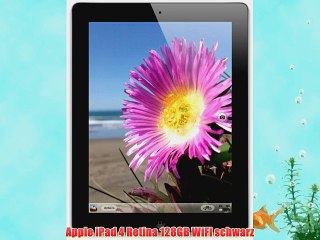 Apple iPad 4 Retina 128GB WiFi schwarz